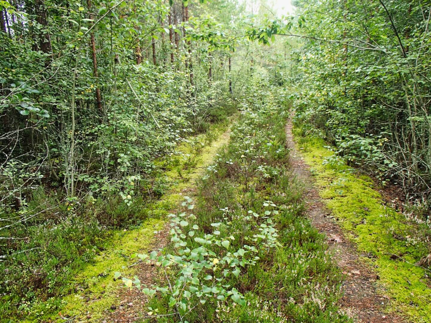 Pori-Rauma-Turku maastopyörällä - << Mtbfin